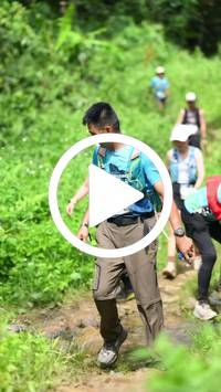 BIB:  <button type="button" onclick="openModal(28455230)" class="btn btn-primary btn-sm float-right" data-toggle="modal" data-target=".modal-high-quality">
                <i class="fa fa-download"></i> Download
                </button>